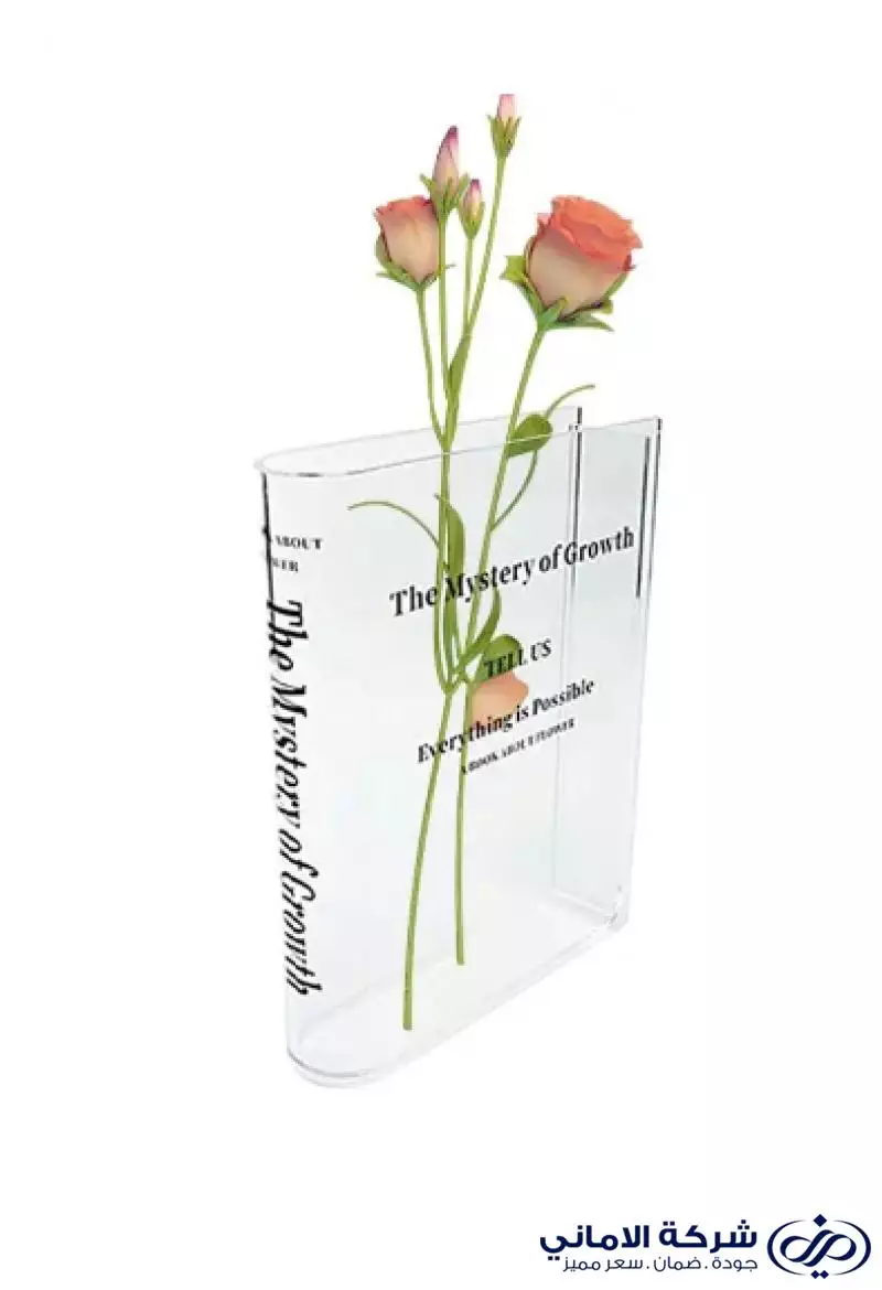 لا توجد صورة